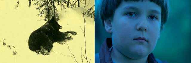 The Nature of Ethics