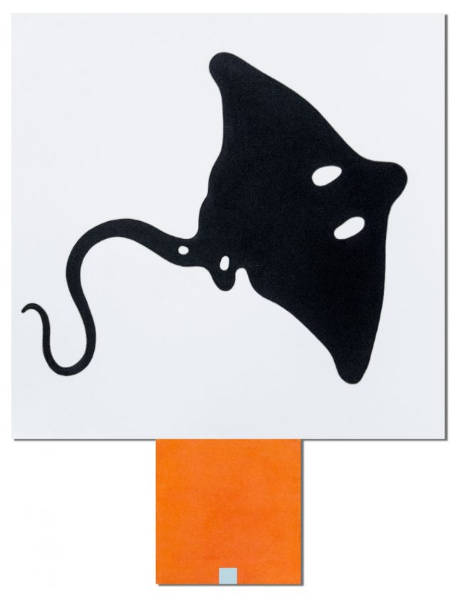 Ray