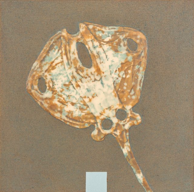 Ray No. 4