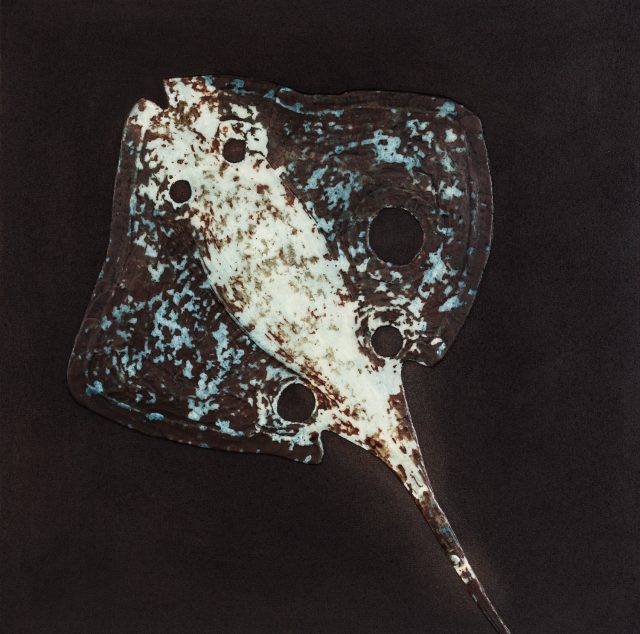 Ray No. 5