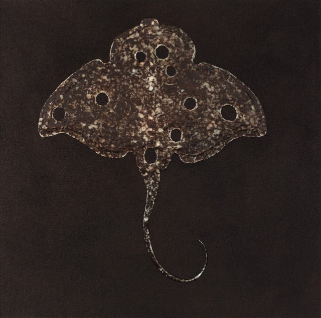Ray No. 9